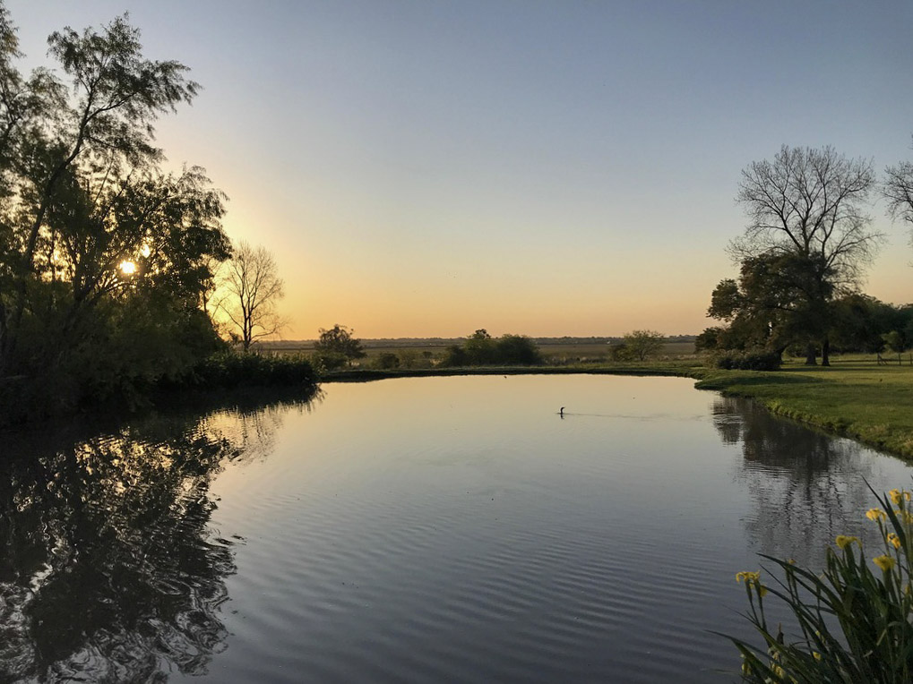 Laguna al atardecer