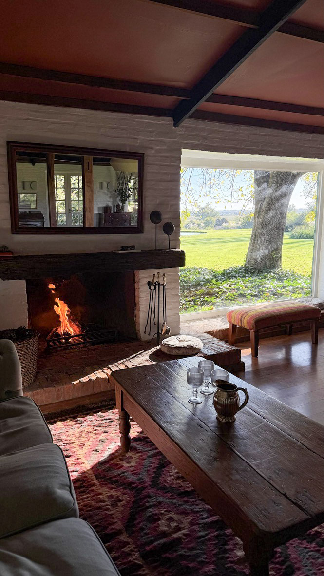 Living con chimenea